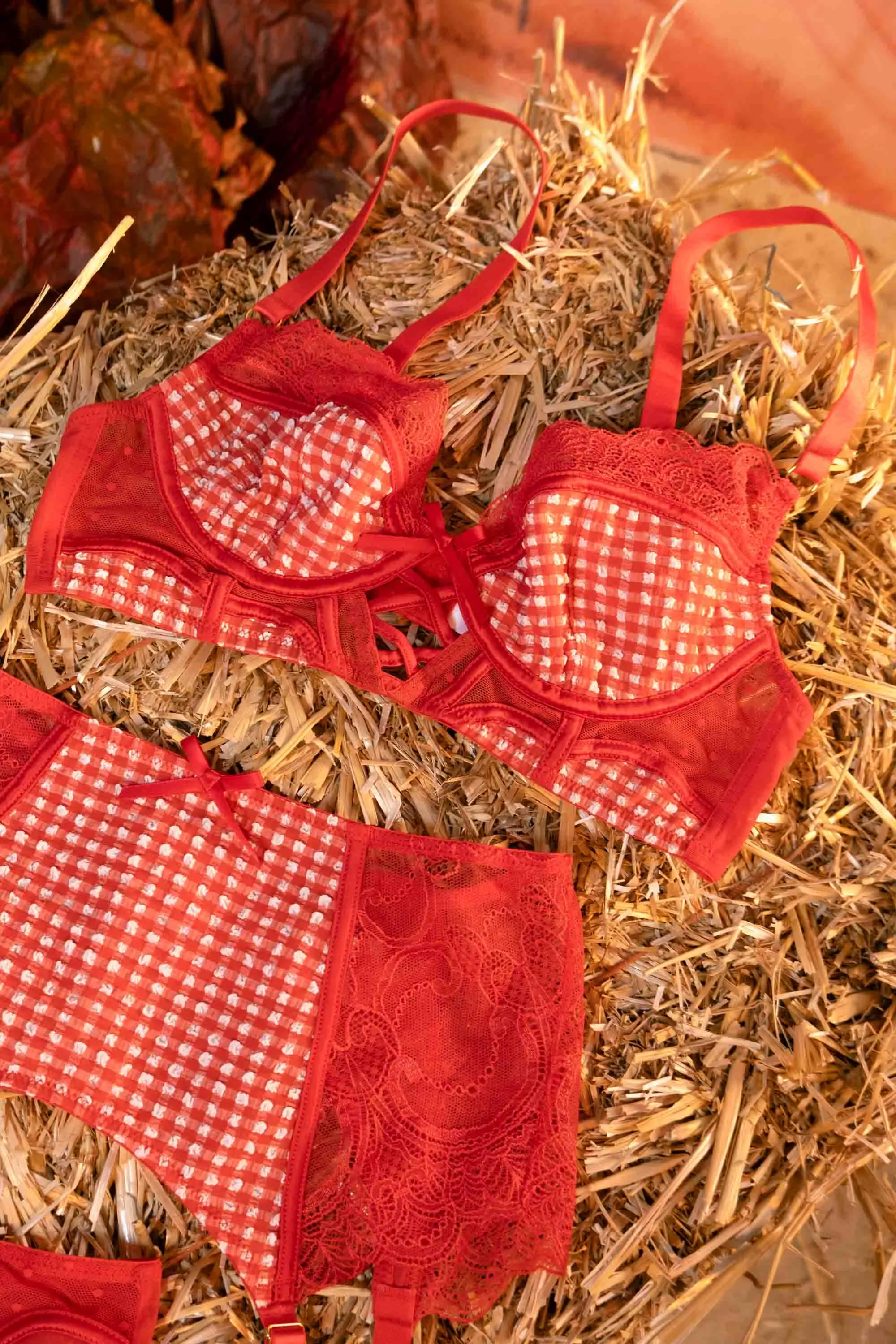 Adelaide Western Gingham And Lace Bra