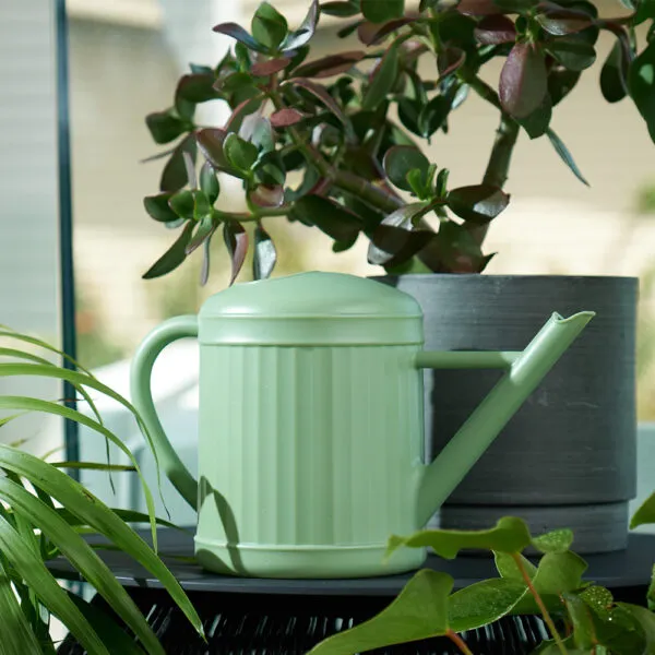 Annabel Trends Watering Can - Sage