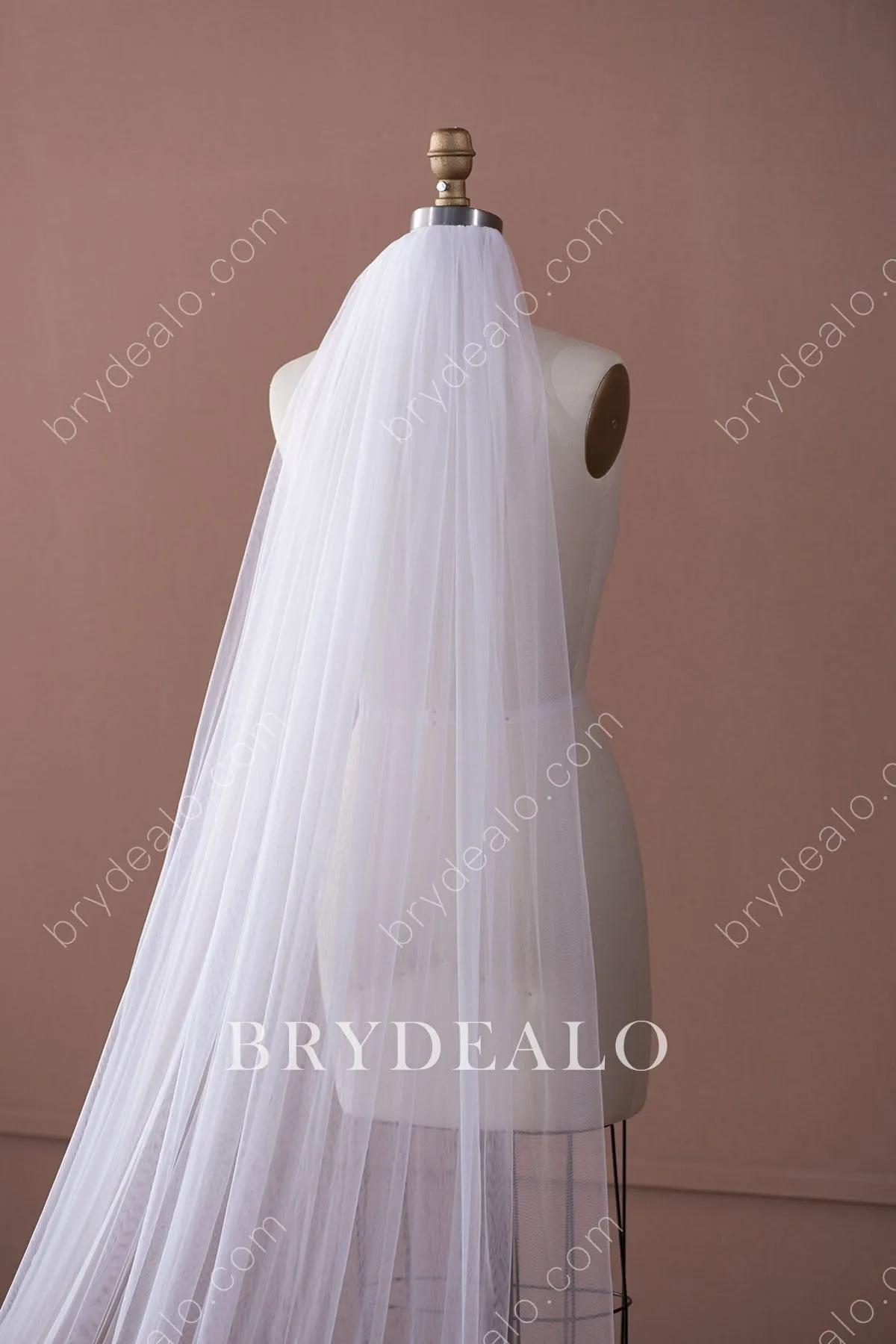 Beautiful Royal Length Lace Tulle Bridal Veil