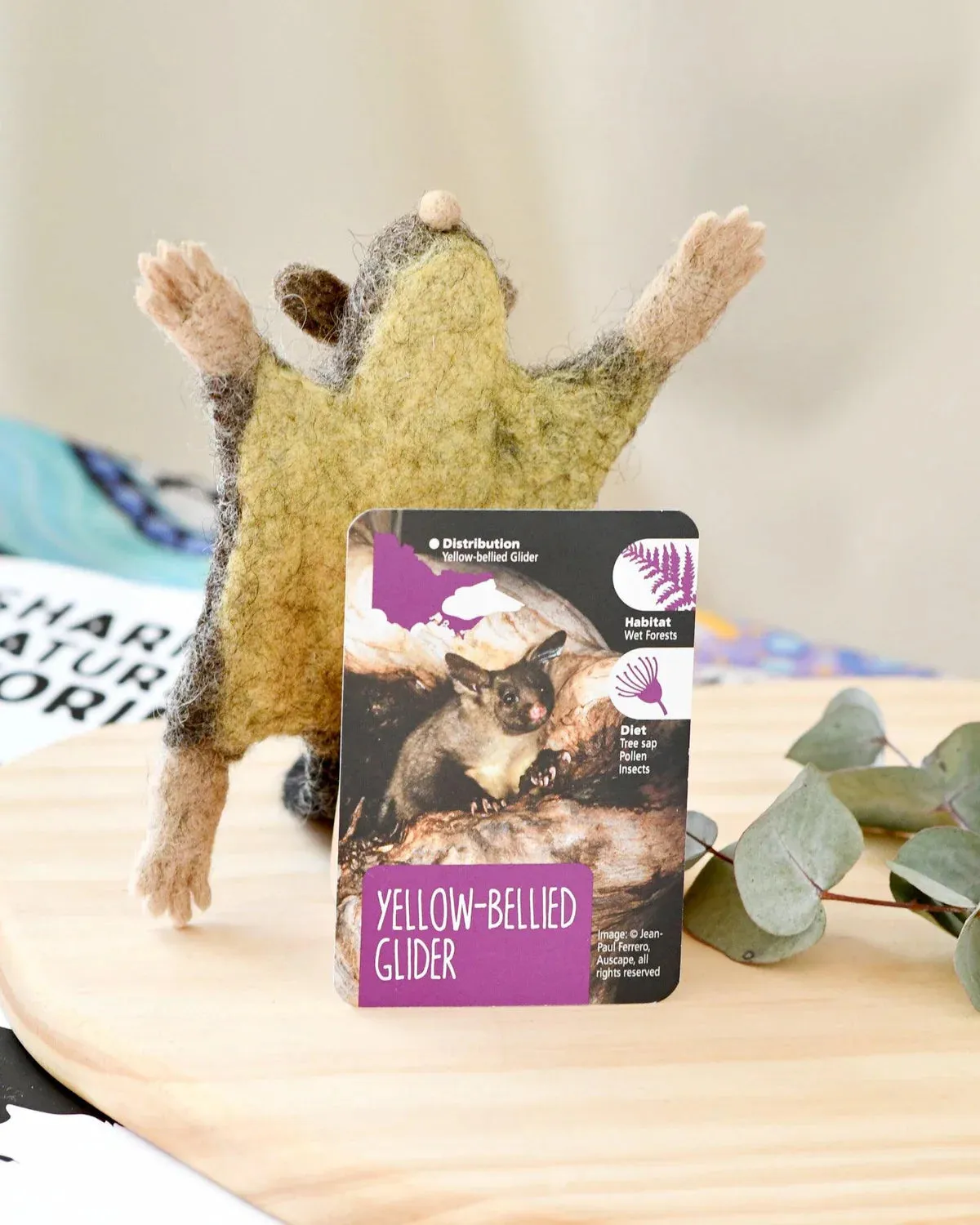 Felt Yellow Bellied Glider Toy (Australian Animal)