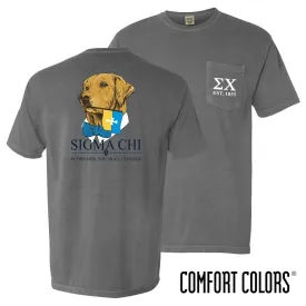 Sigma Chi Comfort Colors Retriever Flag Tee